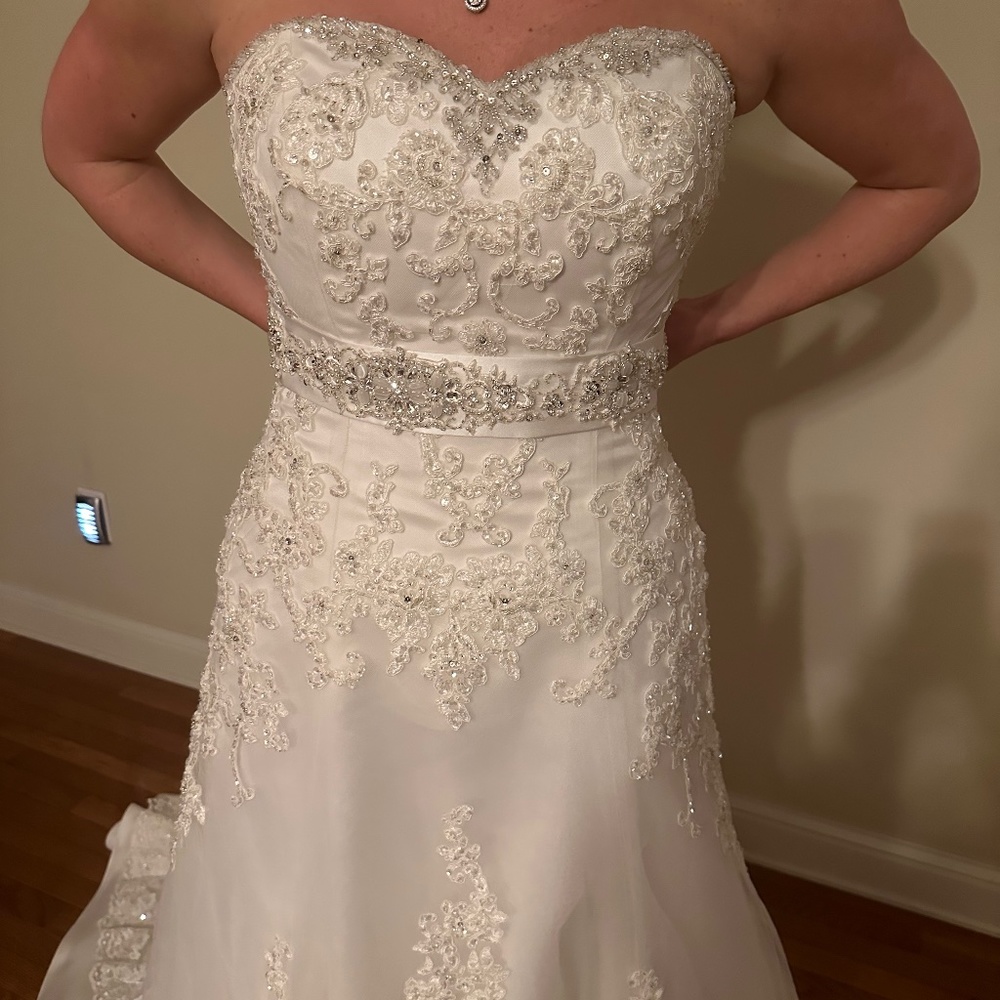 Never Worn Wedding Dress